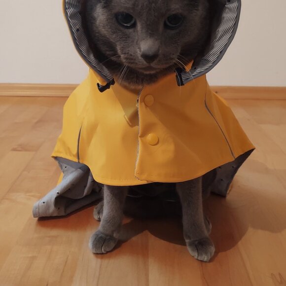 🐾 Cat Raincoat Waterproof Pet Rain Jacket Vintage Fisherman style Coat  🐾 - Picture 9 of 9